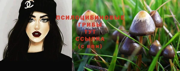 бошки Армянск