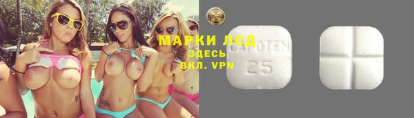 круглые Аркадак