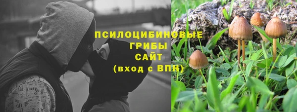круглые Аркадак