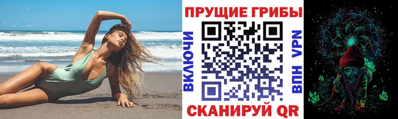 как найти закладки  Кинель  Псилоцибиновые грибы Cubensis 